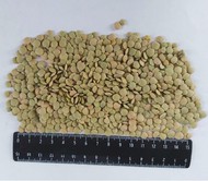 Green lentils FOB Novorossiysk Russia